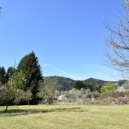 Spacious Holiday Home With Sauna In Celles Sur Plaine إِجويشا المظهر الخارجي الصورة