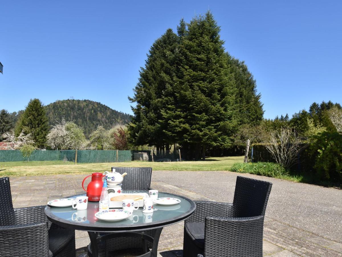 Spacious Holiday Home With Sauna In Celles Sur Plaine إِجويشا الغرفة الصورة