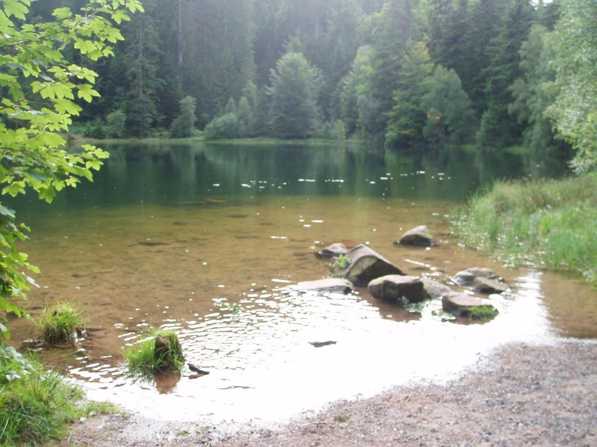 Spacious Holiday Home With Sauna In Celles Sur Plaine إِجويشا الغرفة الصورة