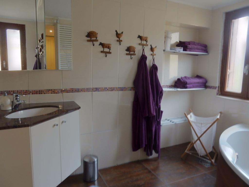 Spacious Holiday Home With Sauna In Celles Sur Plaine إِجويشا المظهر الخارجي الصورة